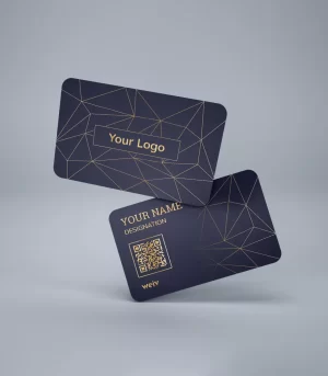 Sphinx - Custom Networking Card